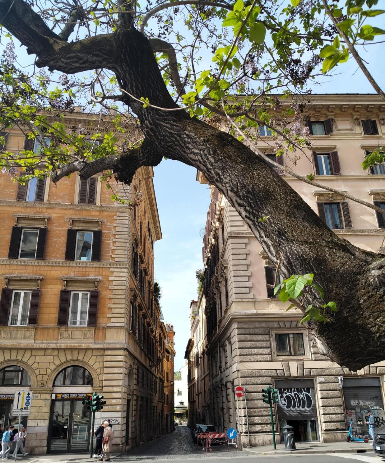 Vatican Near Sweet Home Terrace Rome Extérieur photo